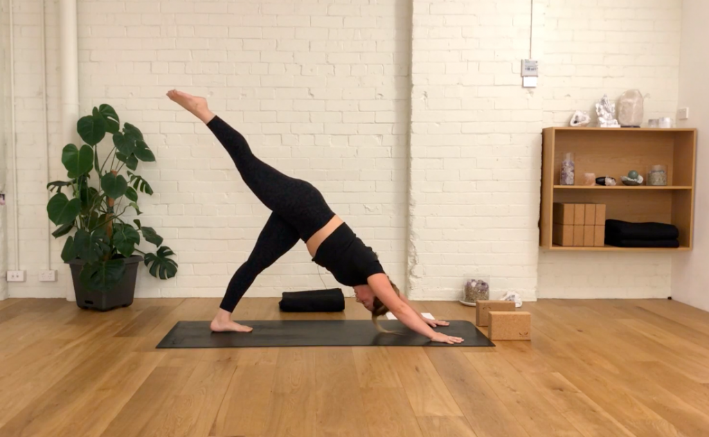 Yoga Evolve - Stable Standing Holds