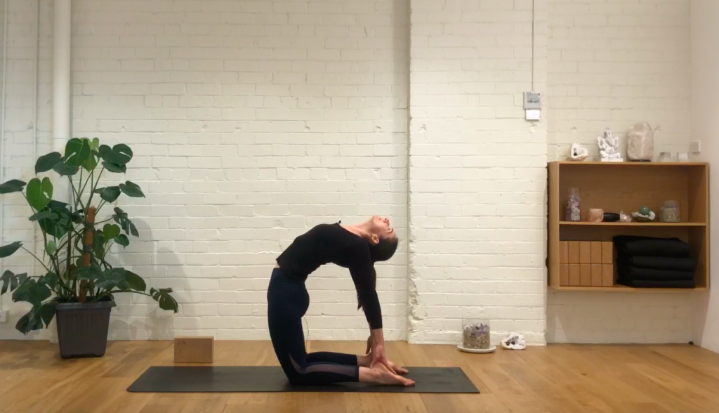 Yoga Evolve - Move Your Spine