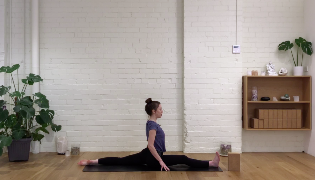 Yoga Evolve - Lunges & Length