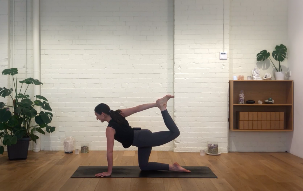 Yoga Evolve - Dynamic Spinal Flow