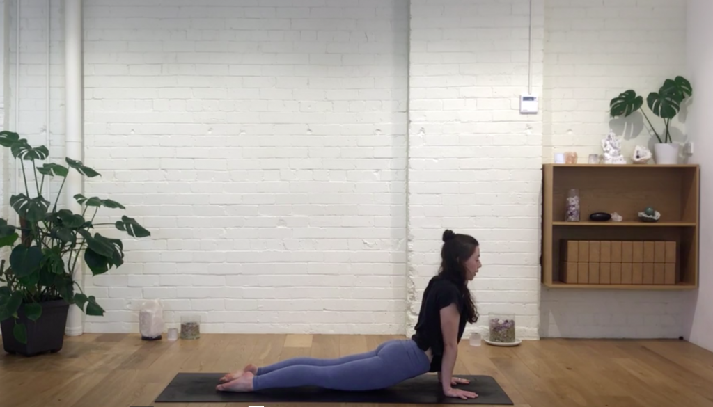 Yoga Evolve - Grounded Asana